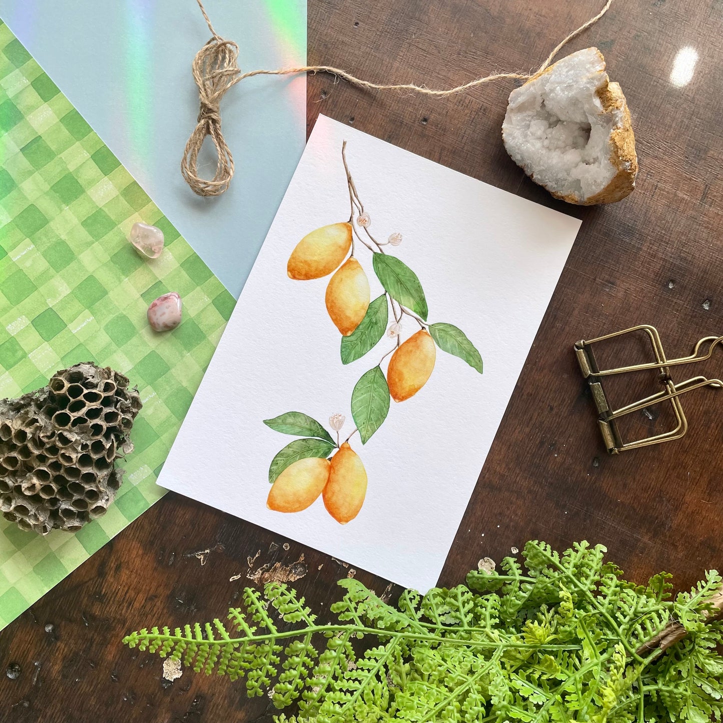 Botanical Lemon Art Print