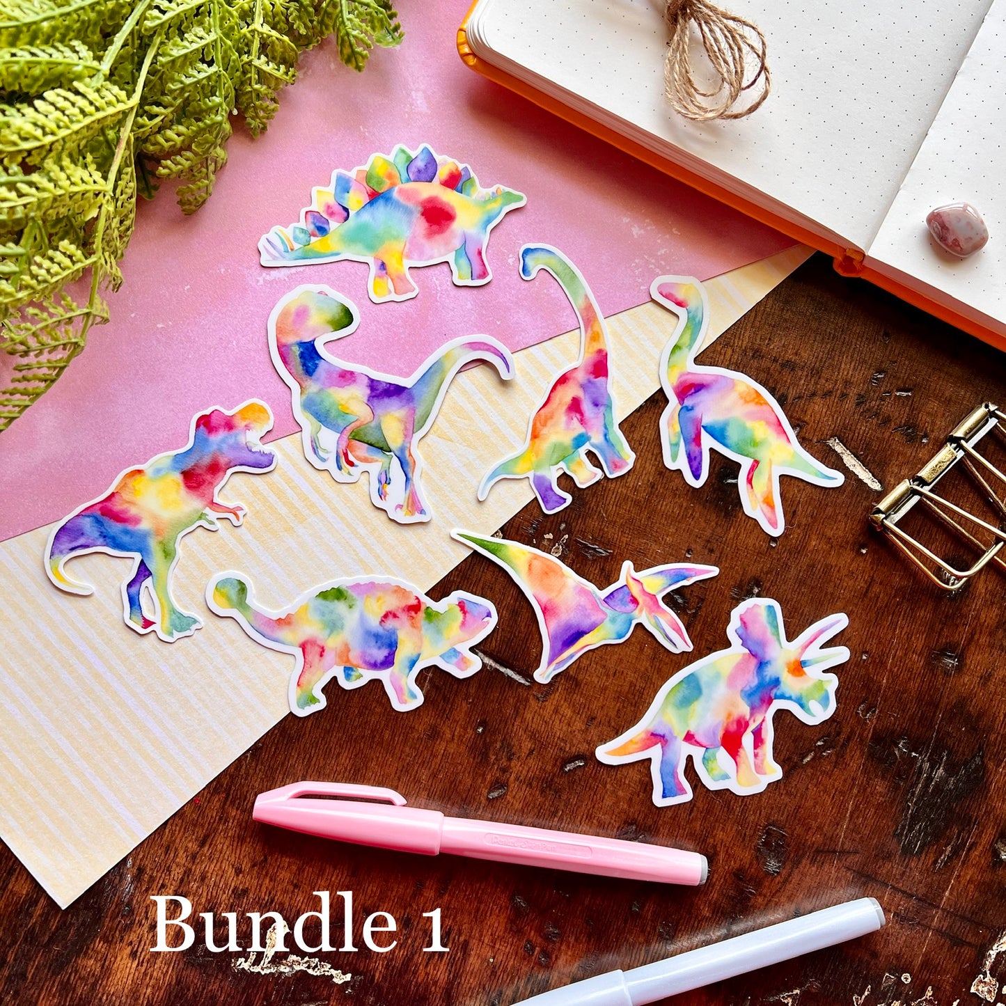 Rainbow Dinosaur Bundles