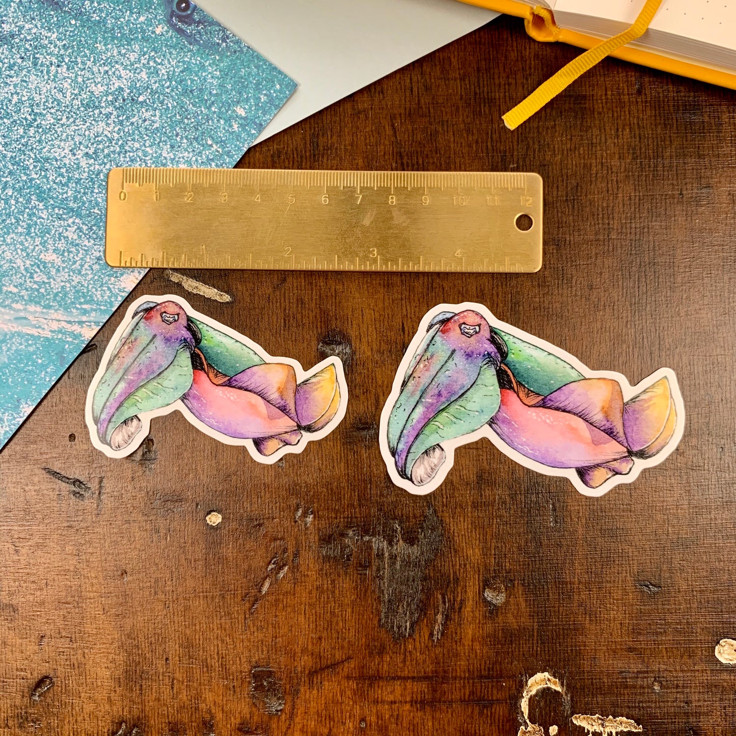 Cuttlefish Vinyl Sticker