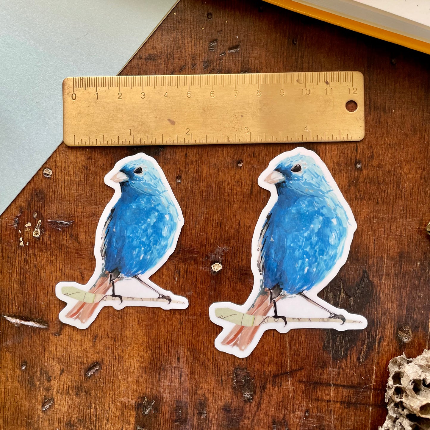 Indigo Bunting Vinyl Sticker