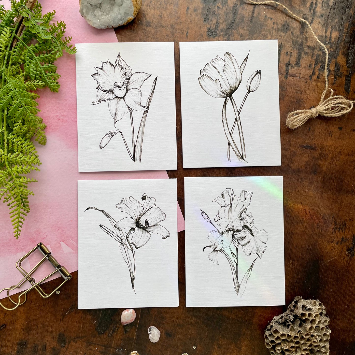 Floral Botanical Pen & Ink Card Set
