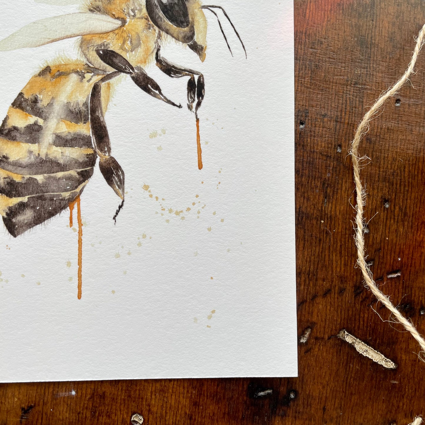 Honeybee Watercolor Print