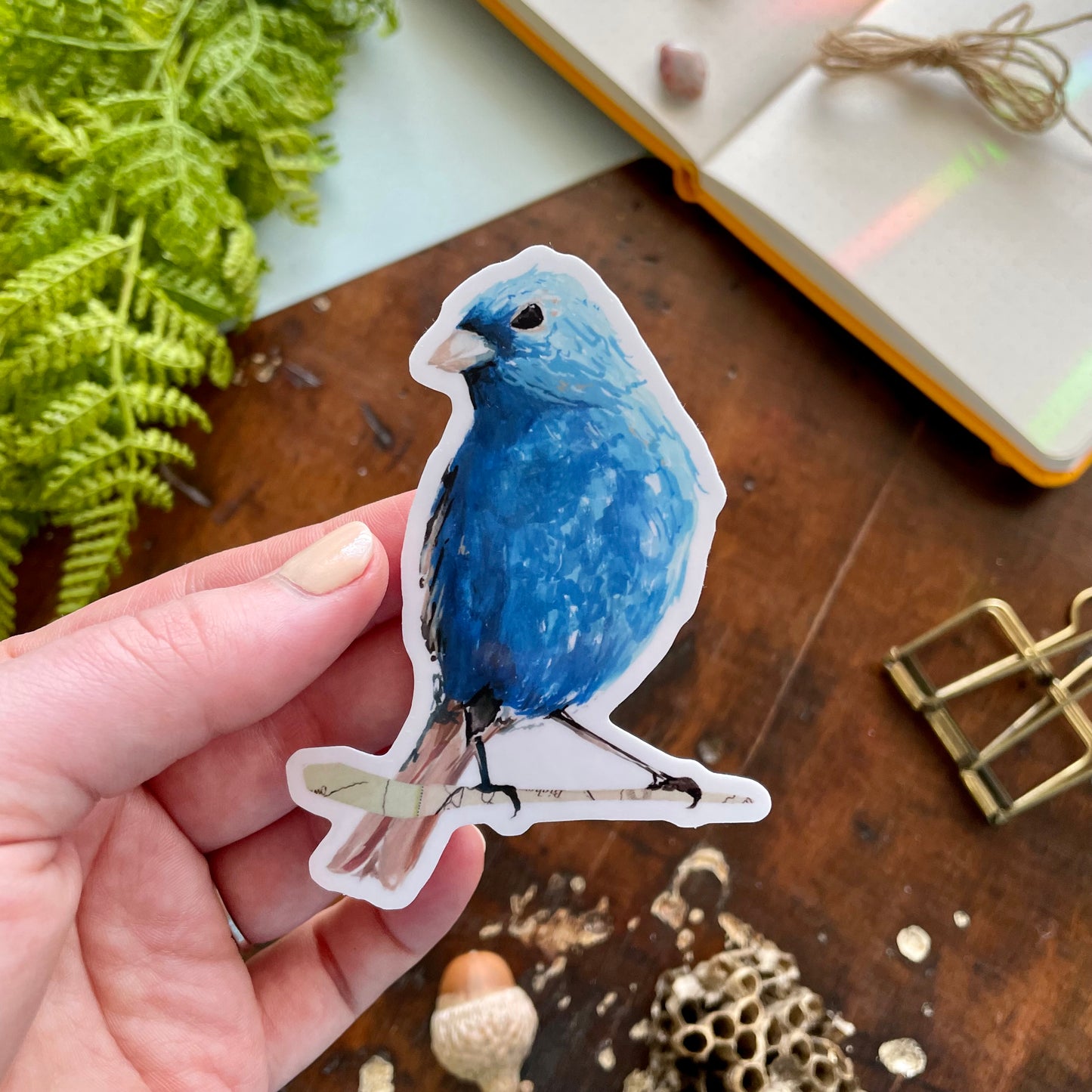 Indigo Bunting Vinyl Sticker