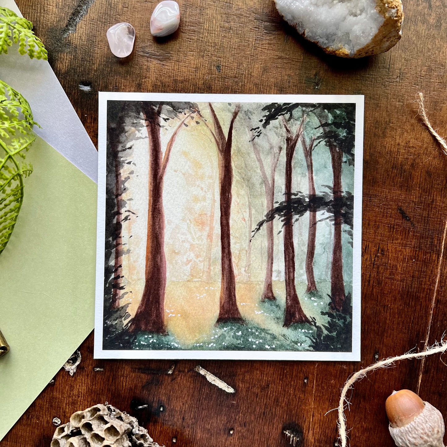 Sunrise Forest Art Print