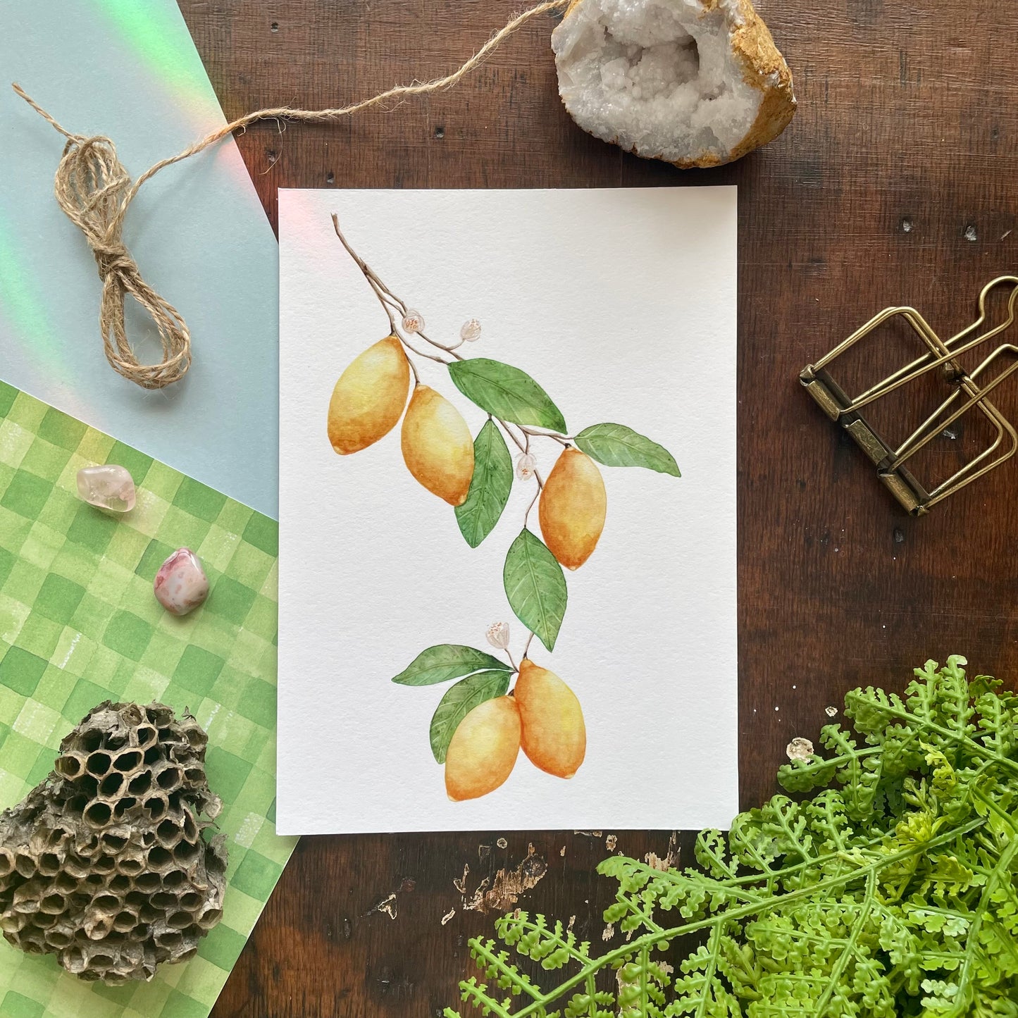Botanical Lemon Art Print
