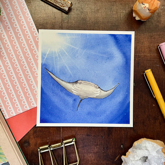 Manta Ray Art Print