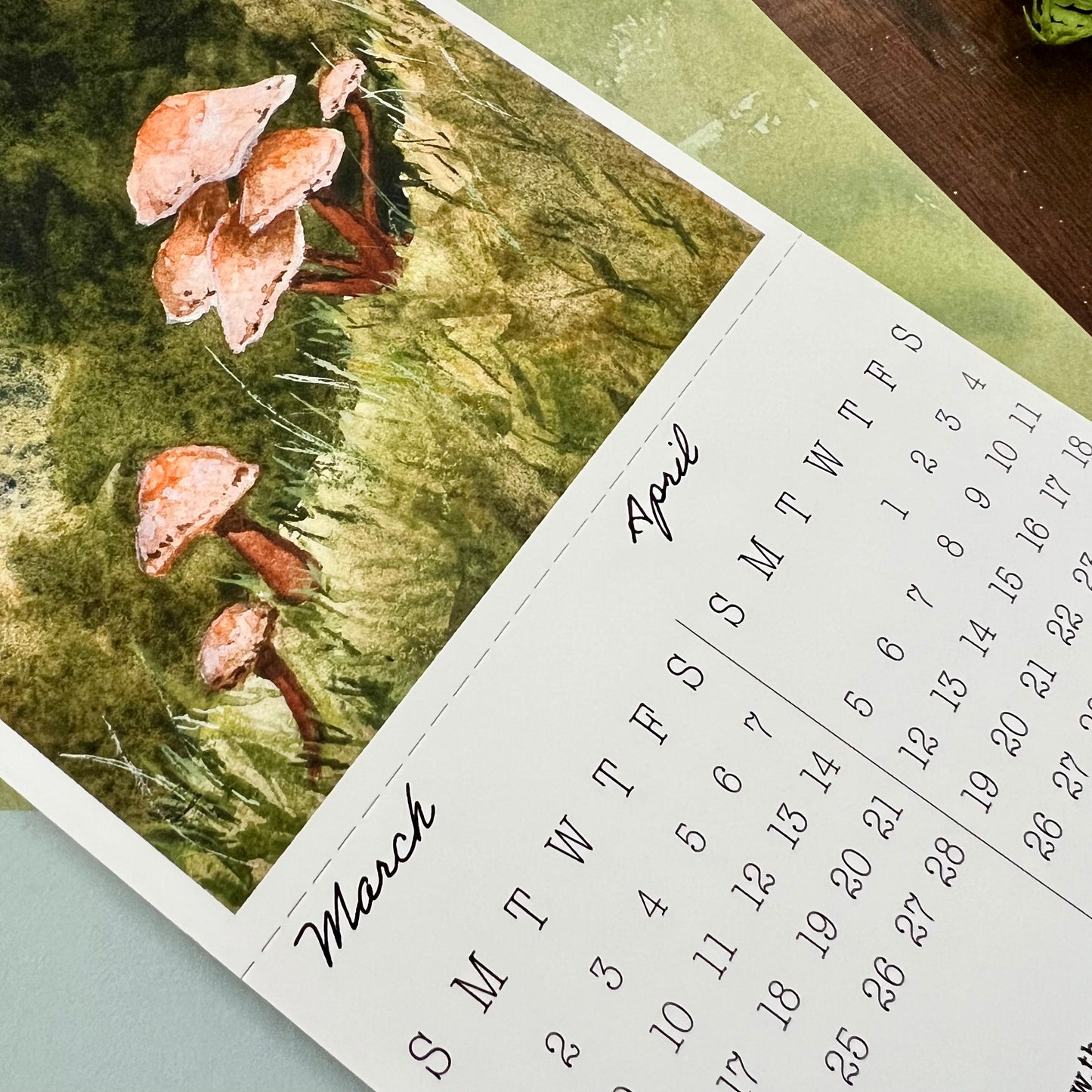 2026 Tiny Forest Calendar