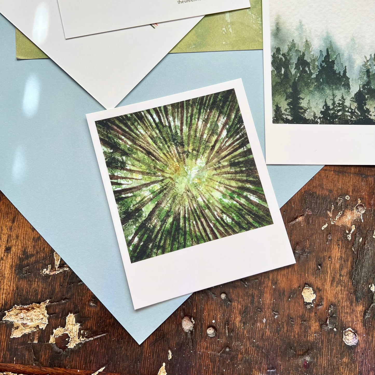 Tiny Forest Polaroid Postcard Set