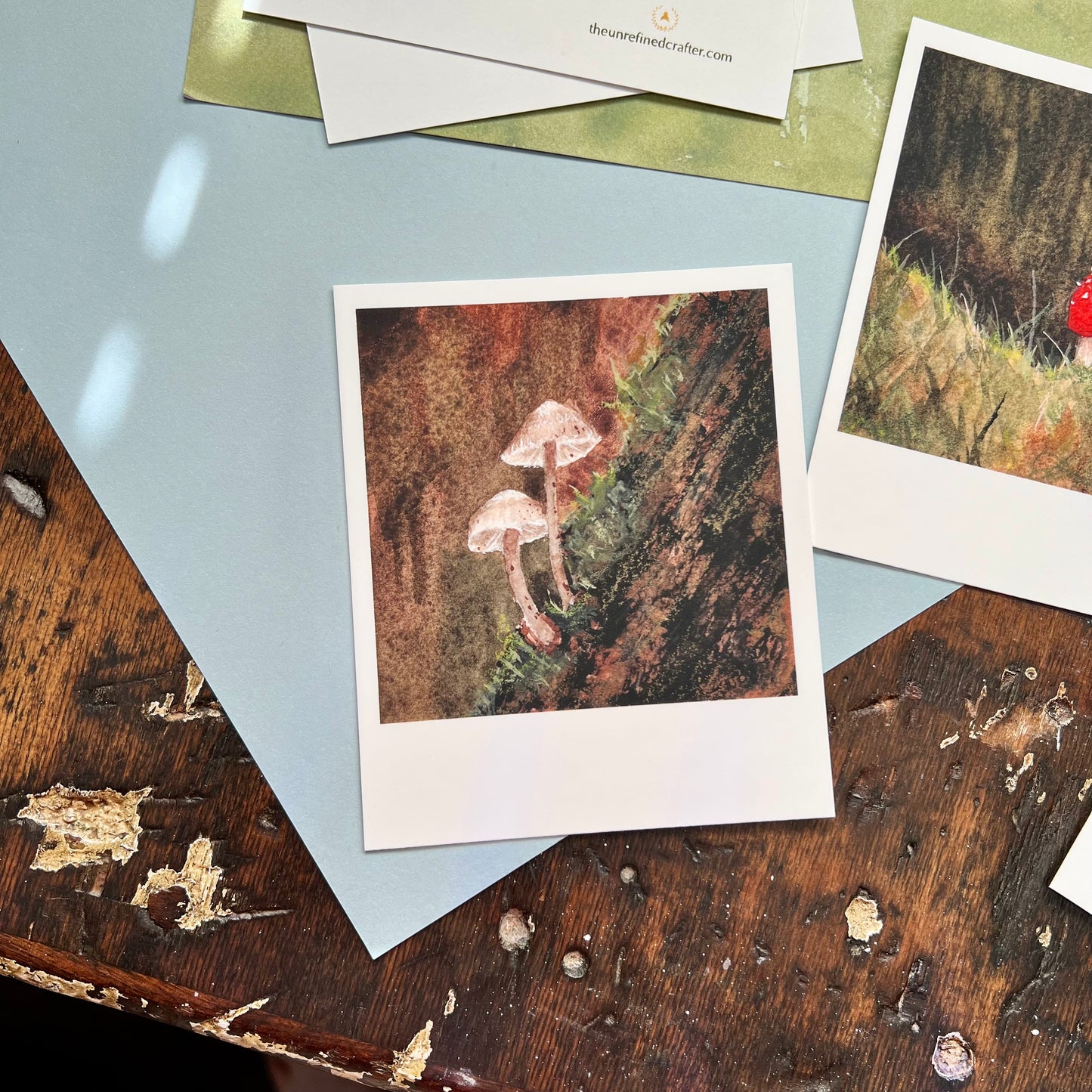 Tiny Forest | Mushroom Polaroid Postcard Set