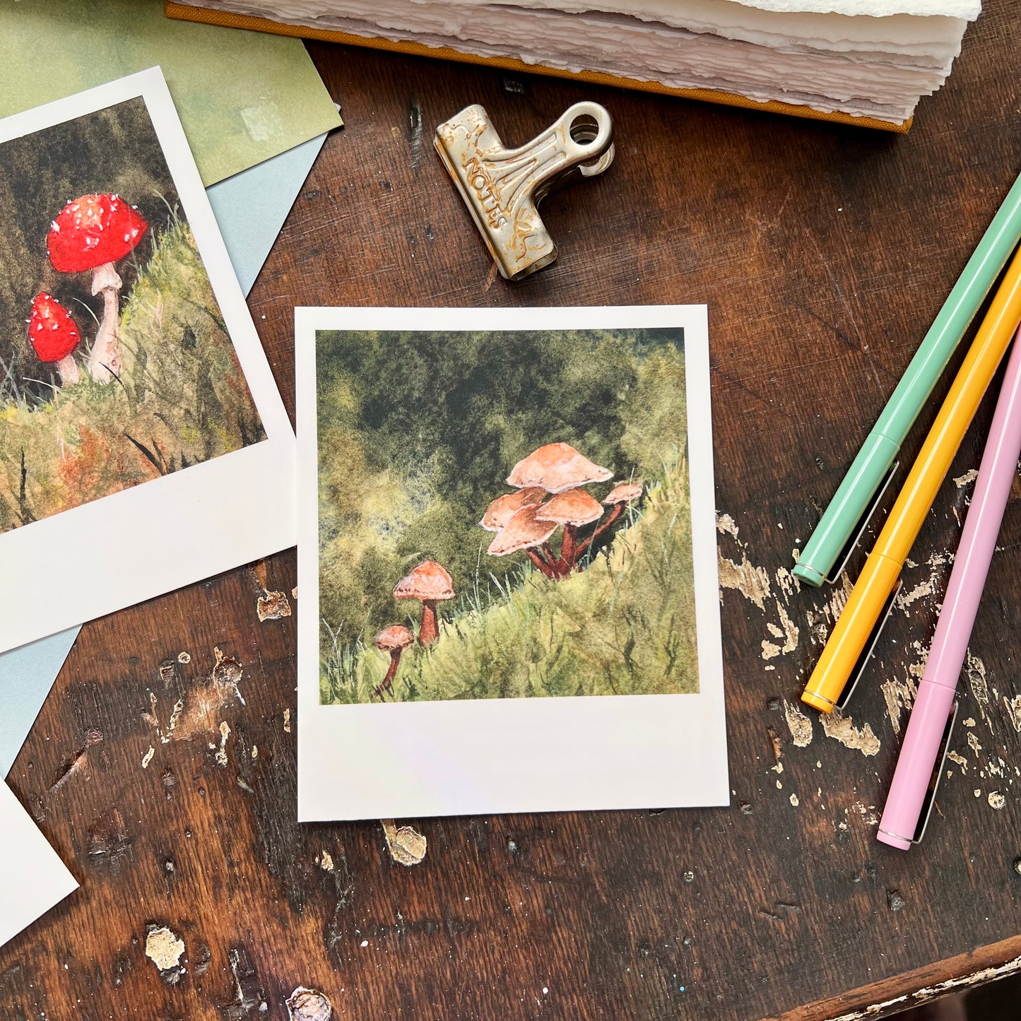 Tiny Forest | Mushroom Polaroid Postcard Set