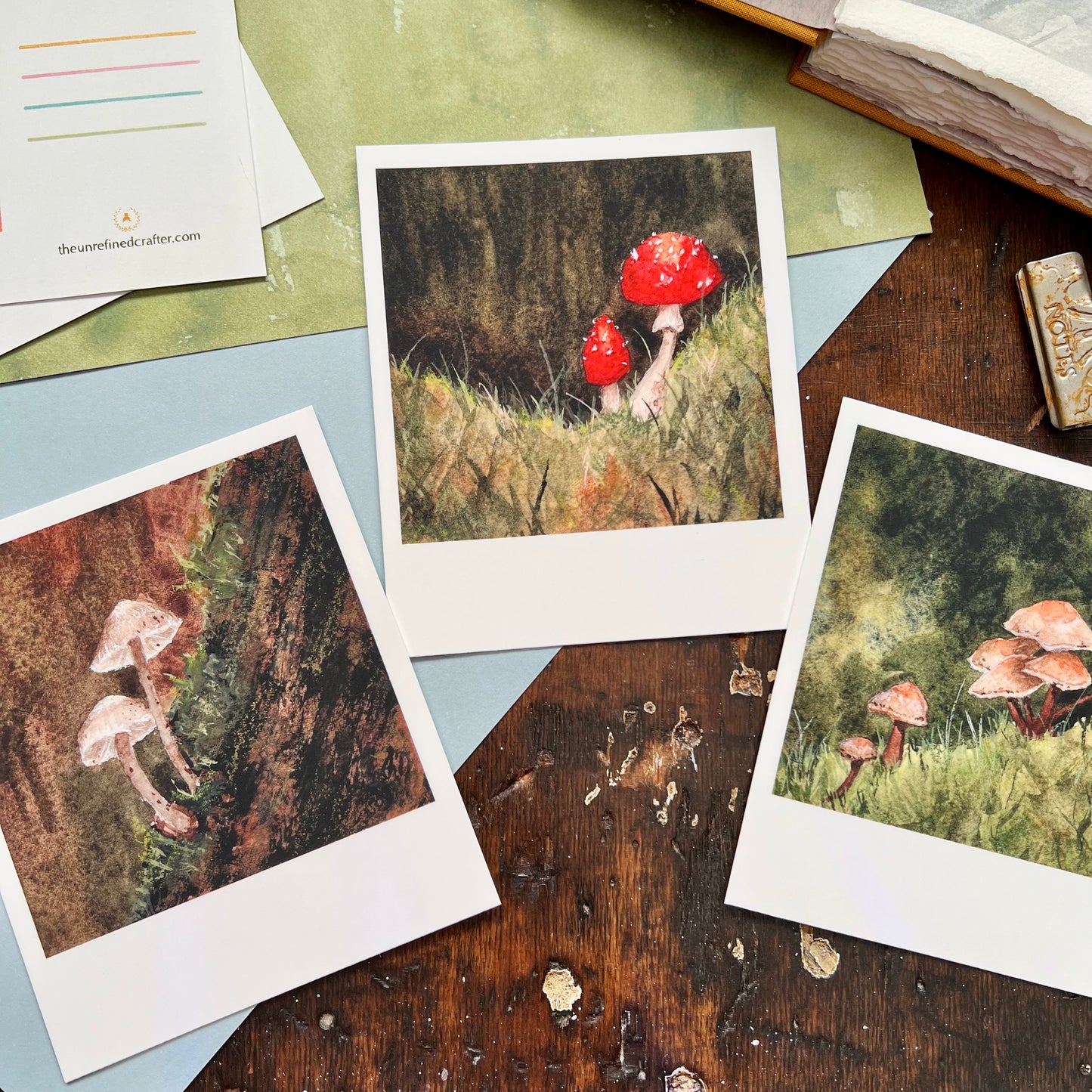 Tiny Forest | Mushroom Polaroid Postcard Set