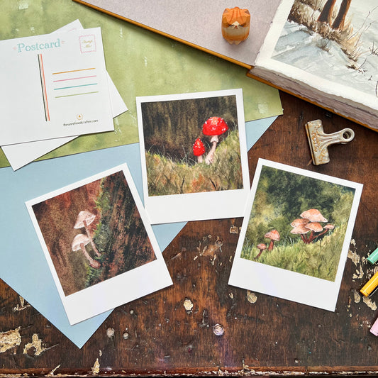 Tiny Forest | Mushroom Polaroid Postcard Set