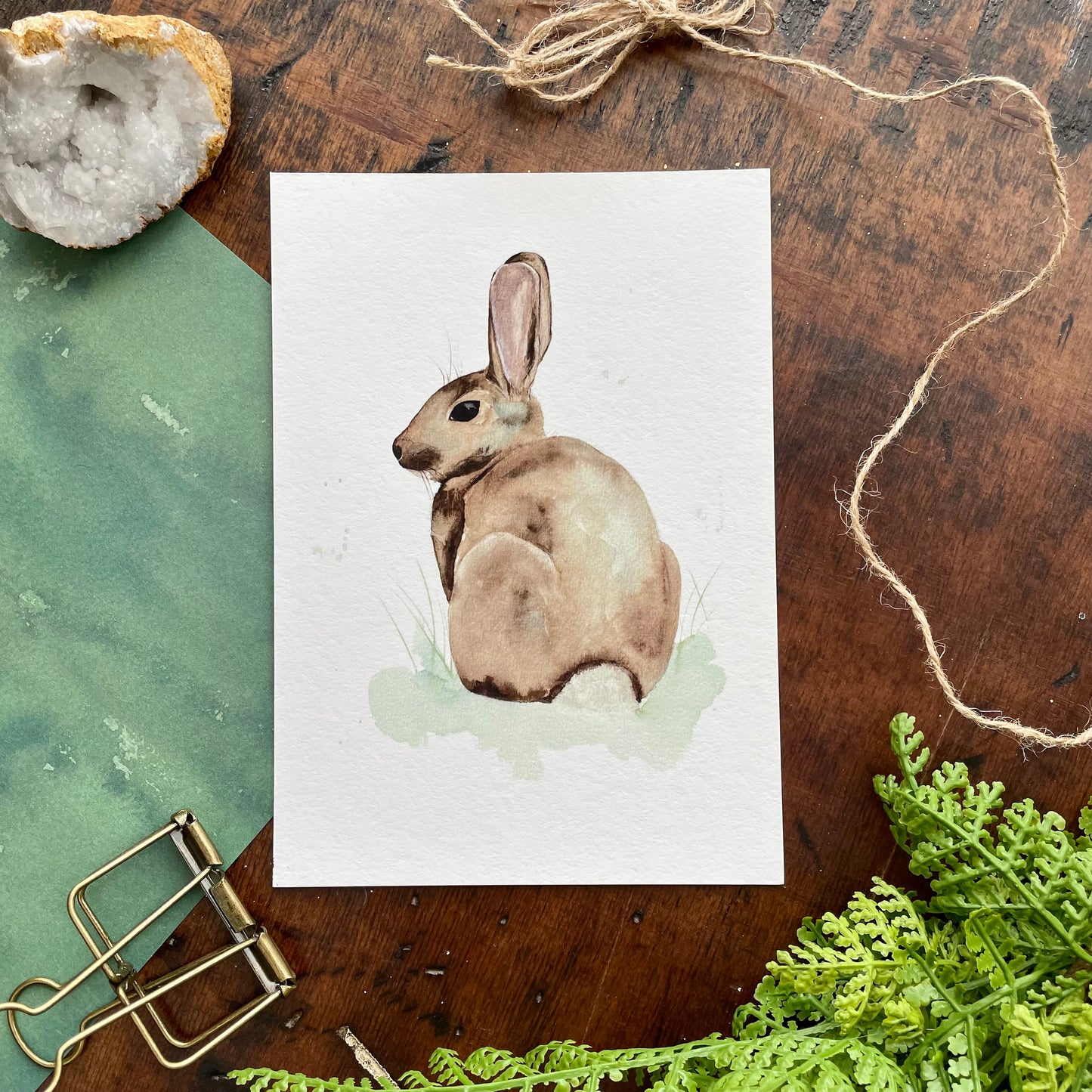 Bunny & Carrots Art Prints