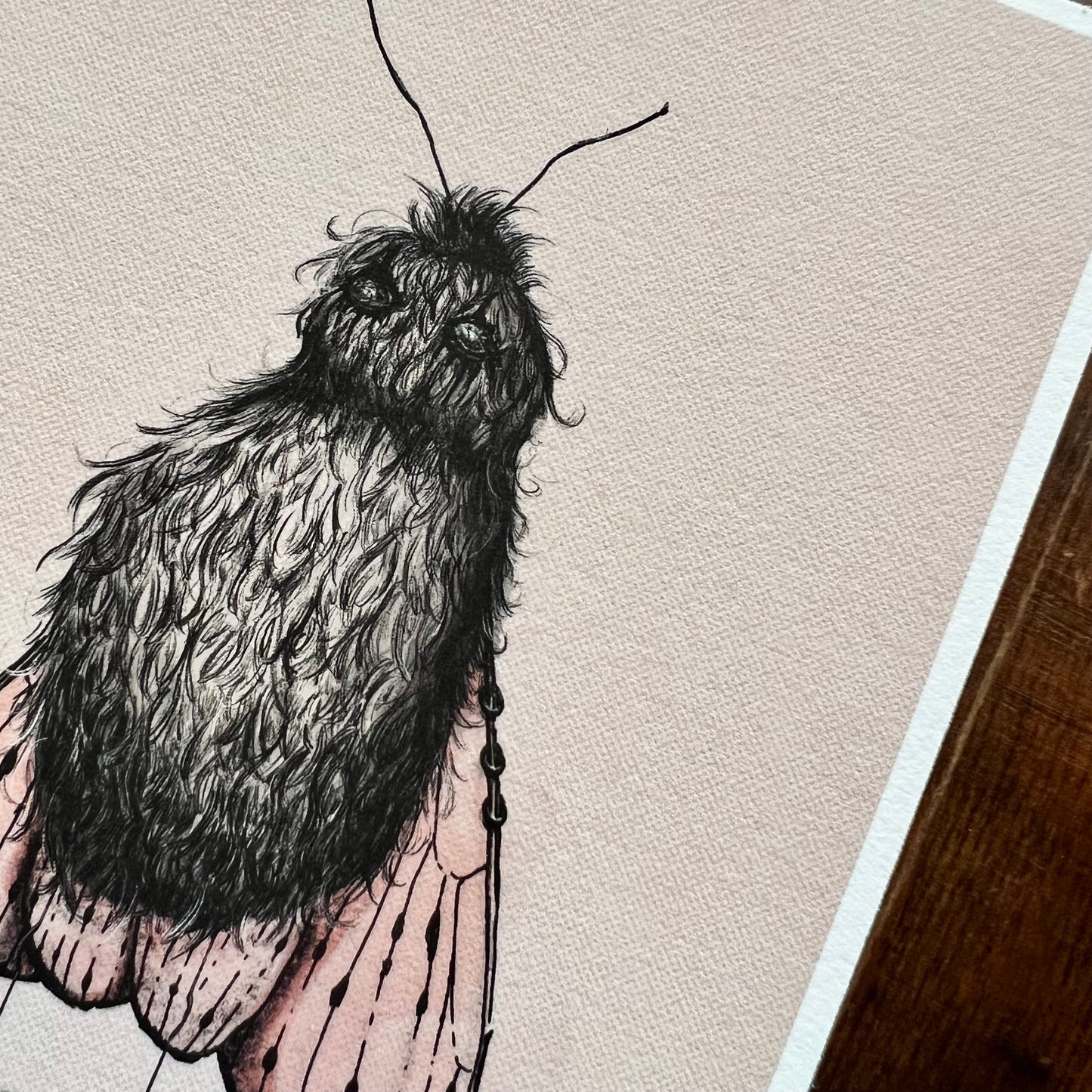 Goth Moth Art Print