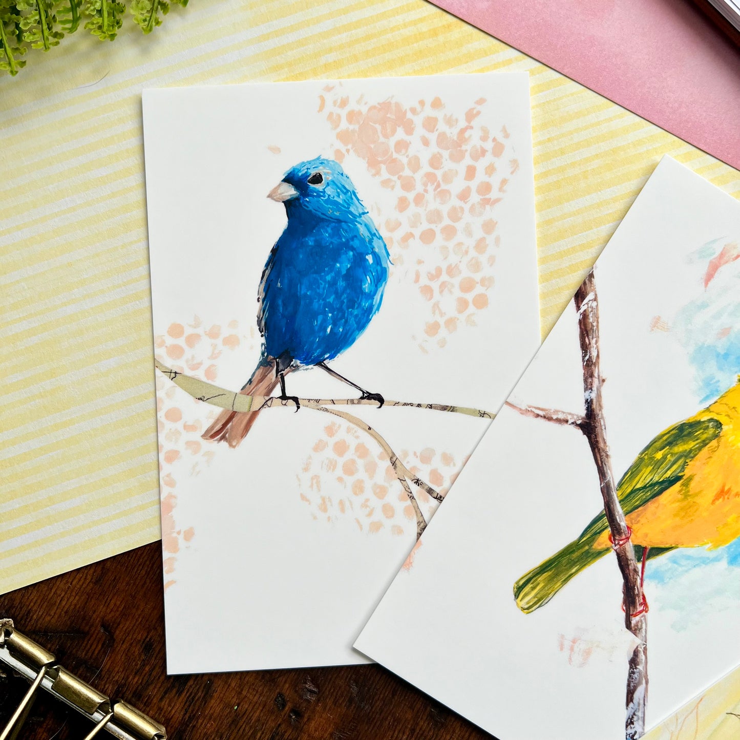 Bird Postcard Set 1