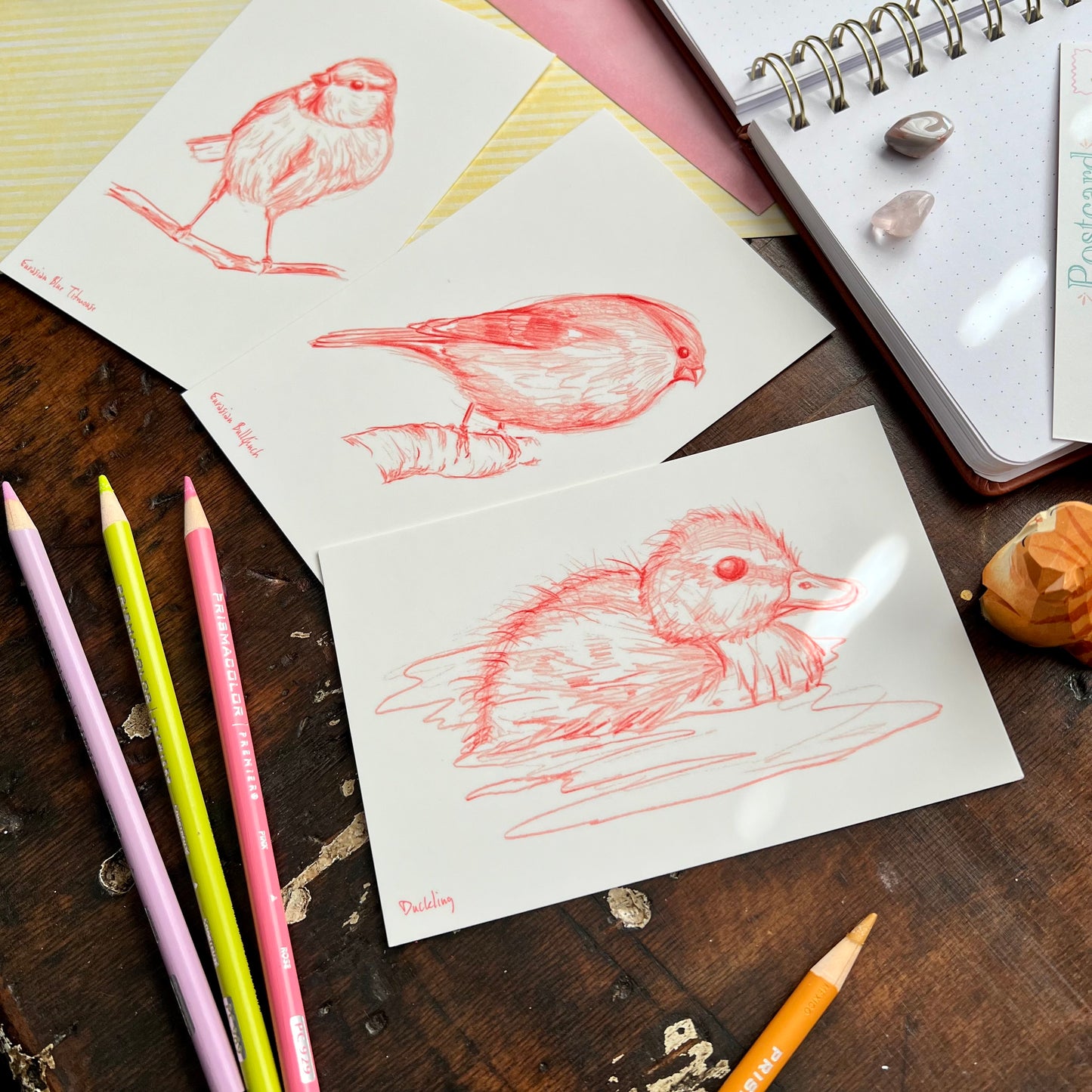 Sketchy Bird Postcard Set 2