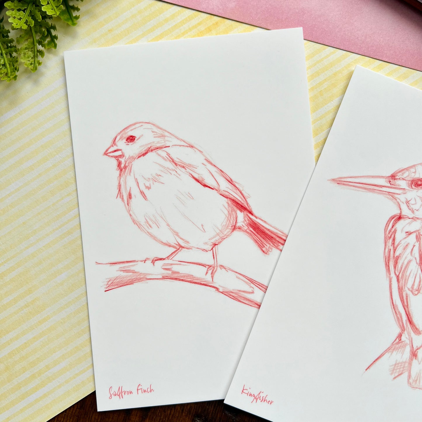 Sketchy Bird Postcard Set 1