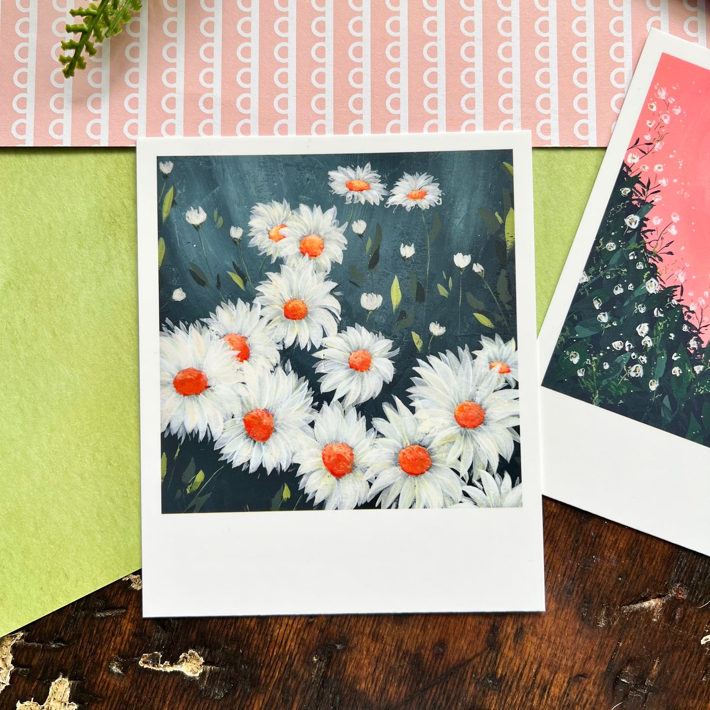 Flowers Polaroid Style Postcard Set