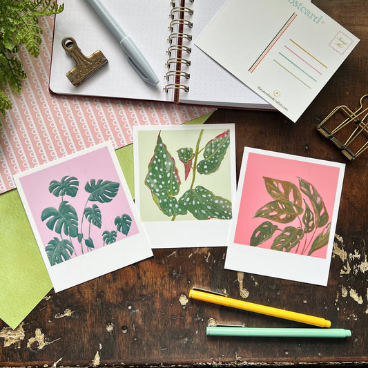 Houseplant Polaroid Style Postcard Set