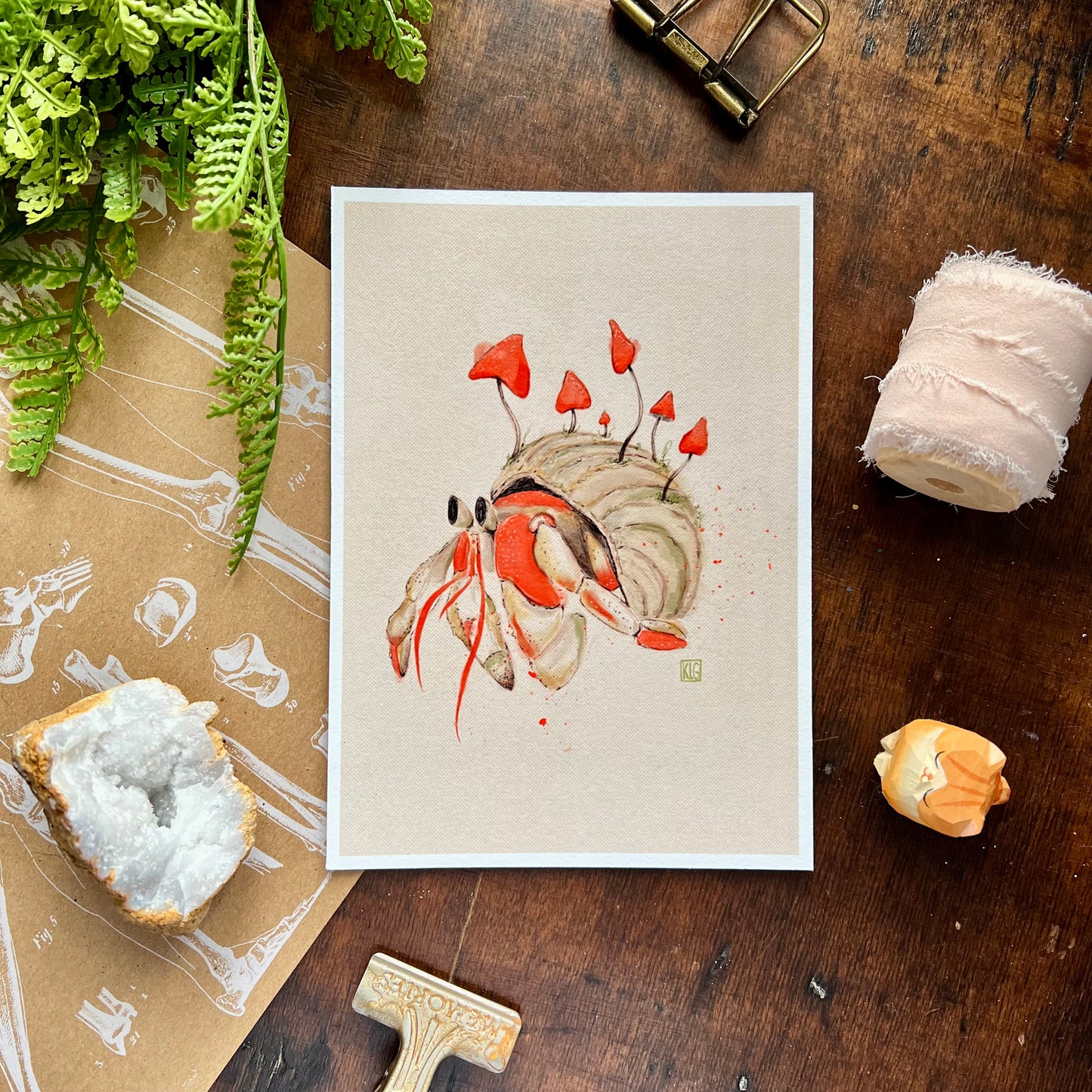 Hermit Crab Art Print