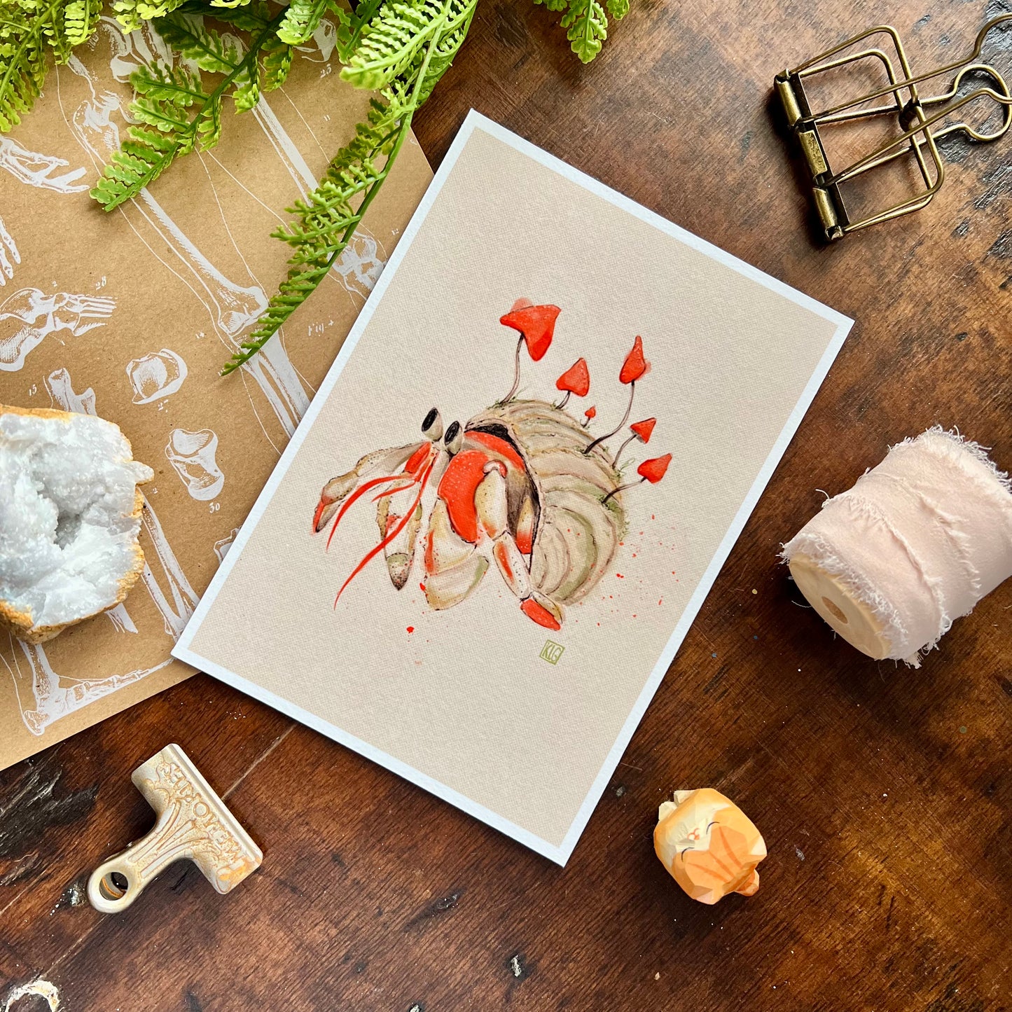 Hermit Crab Art Print