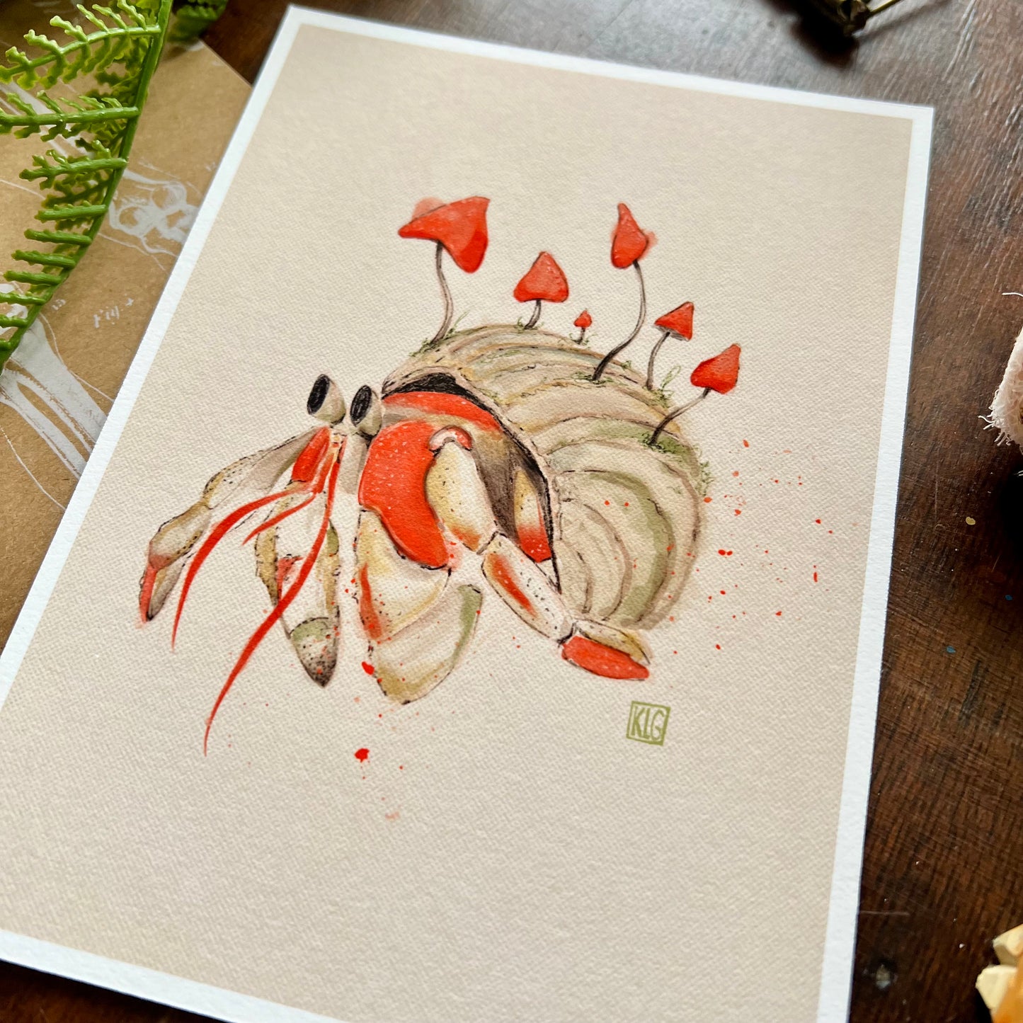 Hermit Crab Art Print