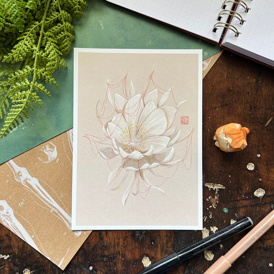 Queen Of The Night Art Print