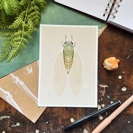 Cicada Art Print