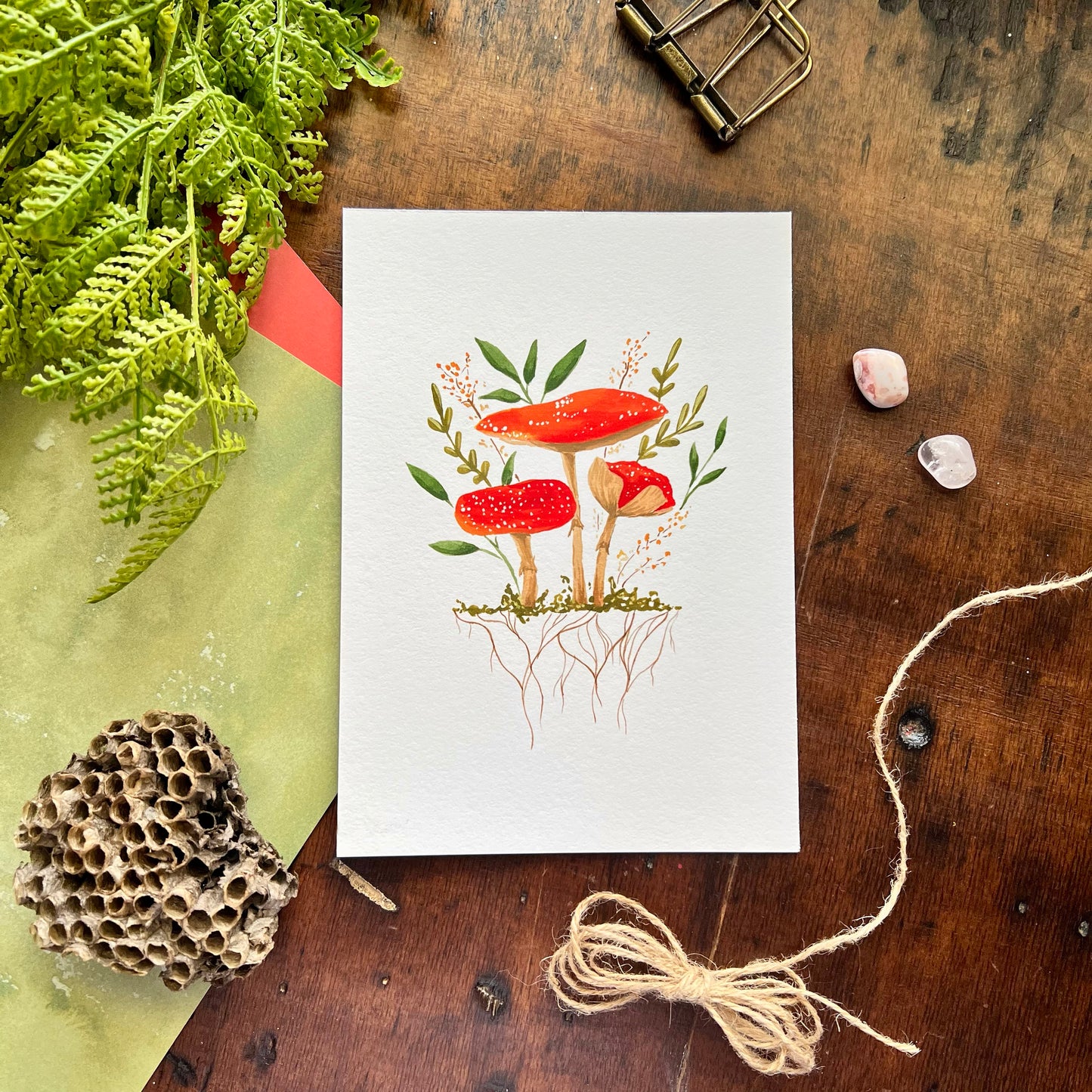 Mushroom Art Print