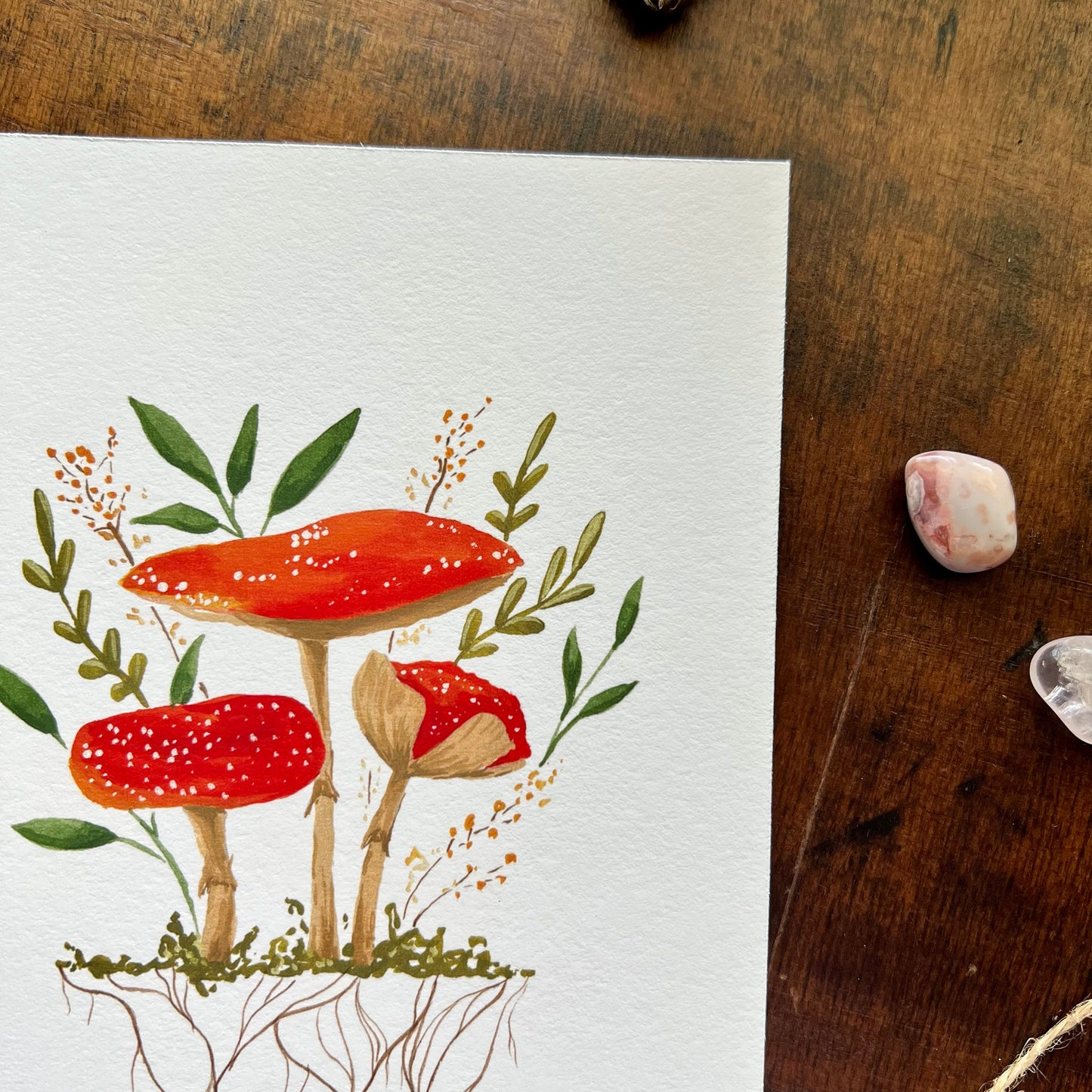 Mushroom Art Print