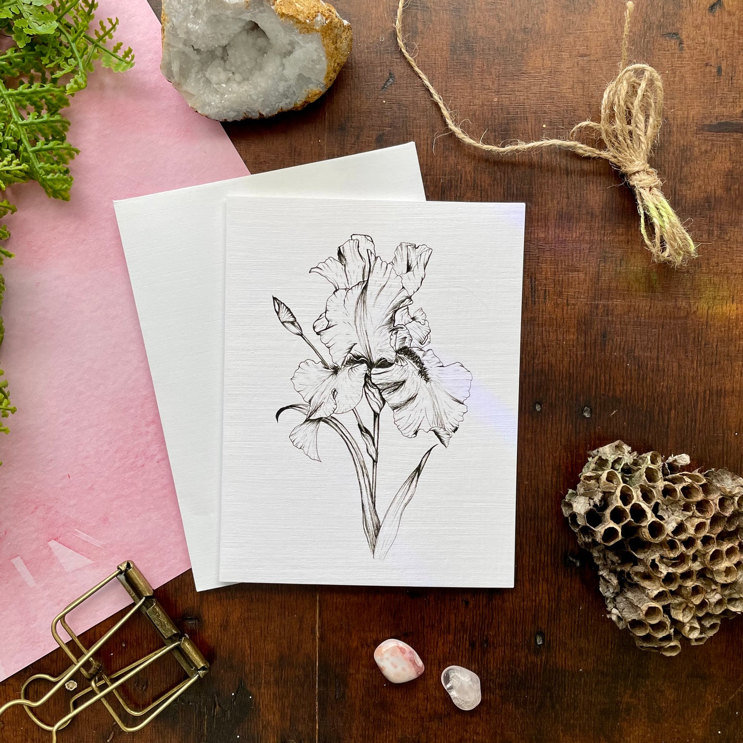 Iris Botanical Pen & Ink Card