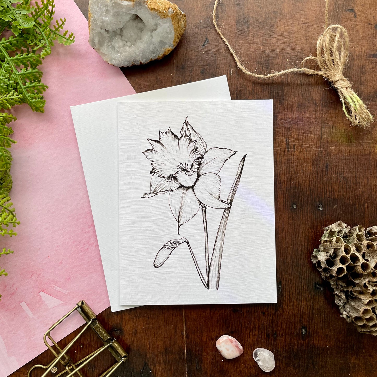 Daffodil Botanical Pen & Ink Card