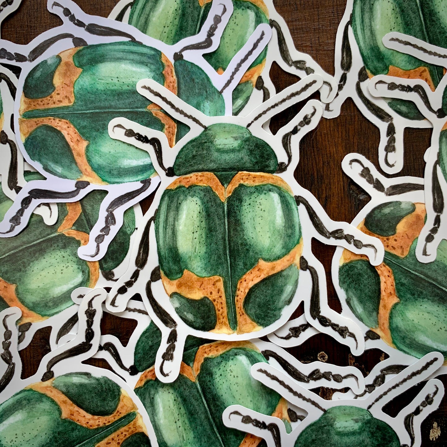 Green Coleoptera Beetle Vinyl Sticker