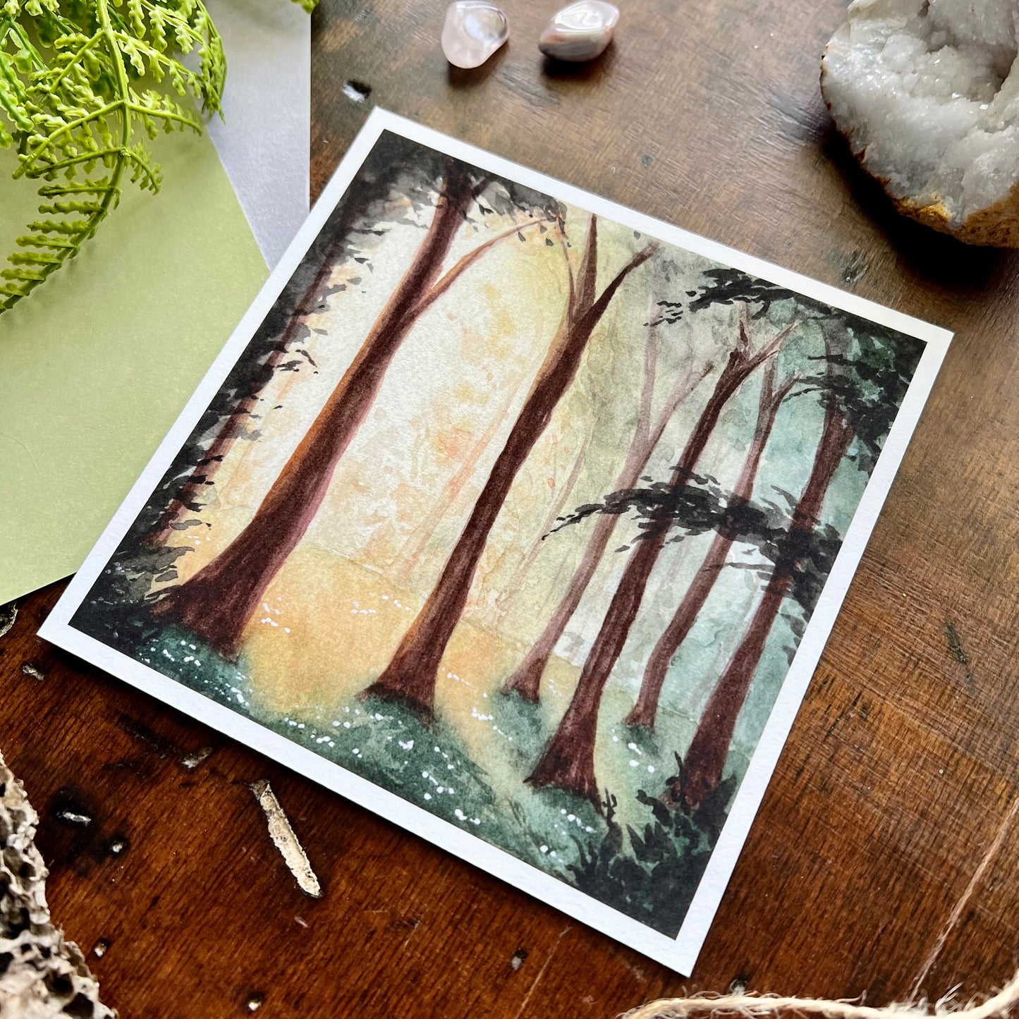 Sunrise Forest Art Print