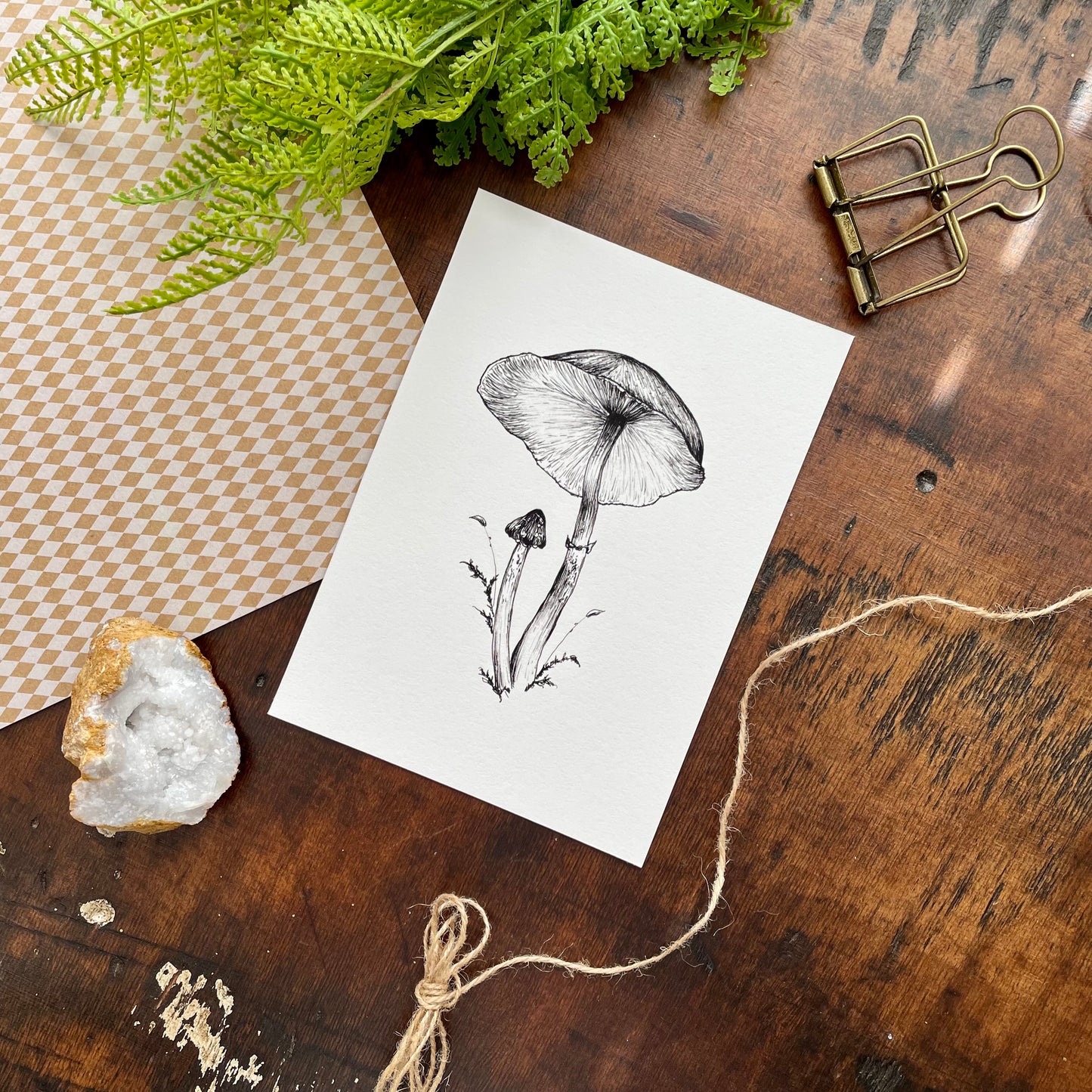 Mushroom Botanical Pen & Ink Print