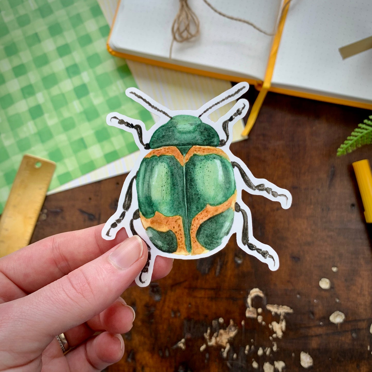Green Coleoptera Beetle Vinyl Sticker