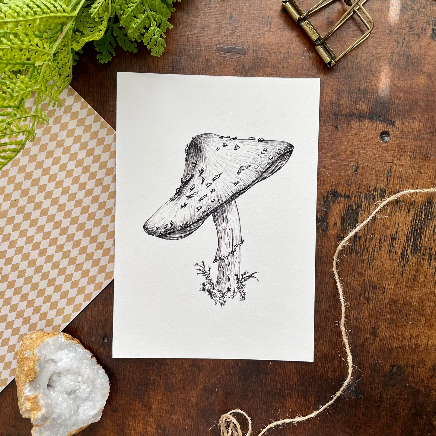 Mushroom Botanical Pen & Ink Print