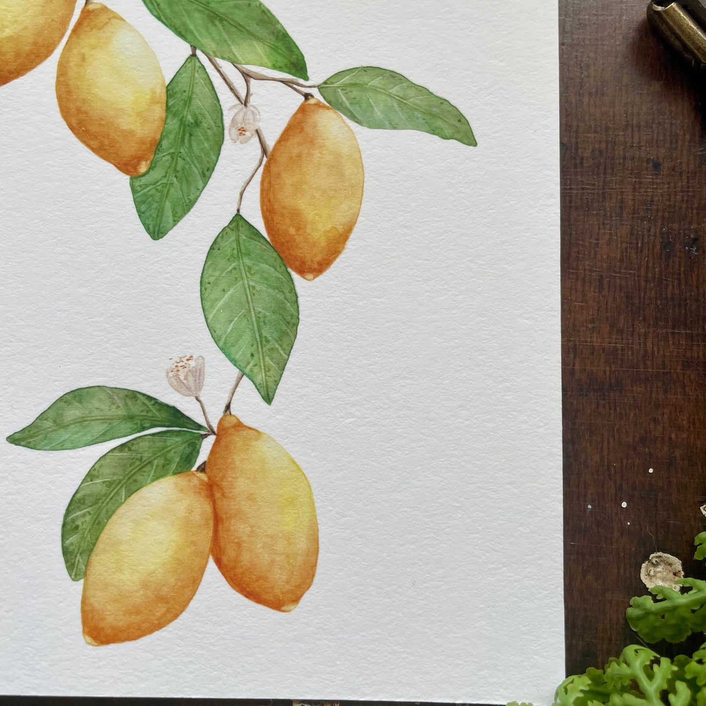 Botanical Lemon Art Print
