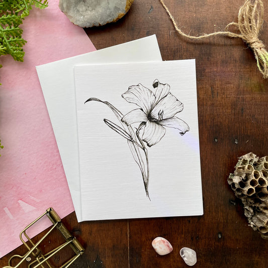 Day Lily Botanical Pen & Ink Card